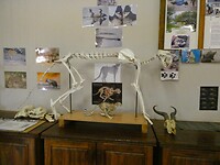 info centrum Africat