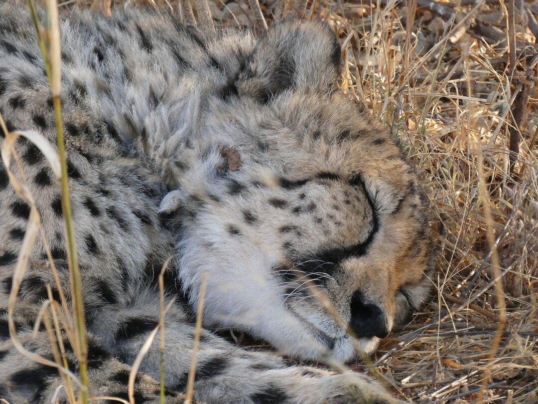 P1030508