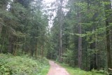 Wandelen in de Vogezen