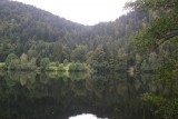 Vogezen