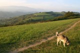 Wandeling naar het strand in Zarautz.