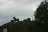 stier