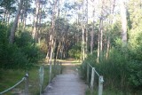 Caminha