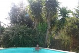 Camping Pelinos