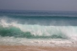 IMG_7555
