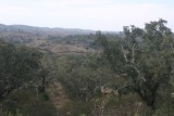 IMG_7572