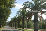 Onderweg naar Praia da Luz
