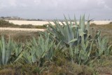 Camperplaats in Sagres