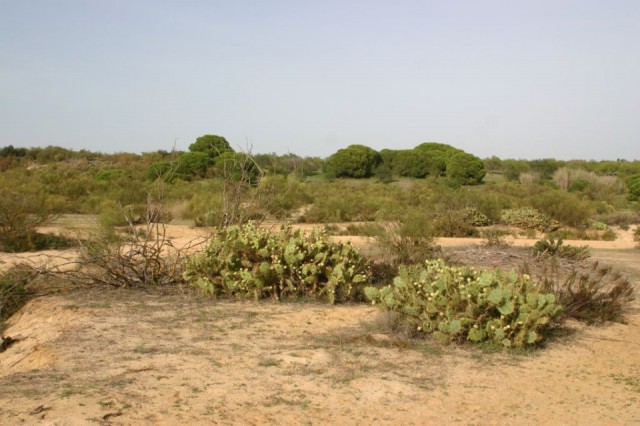 Monta Rota