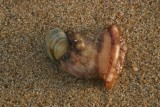 Strand van Isla Cristina