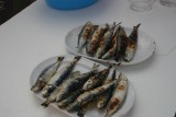Camping Playa de Mazarron