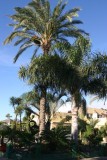 Camping Playa de Mazarron