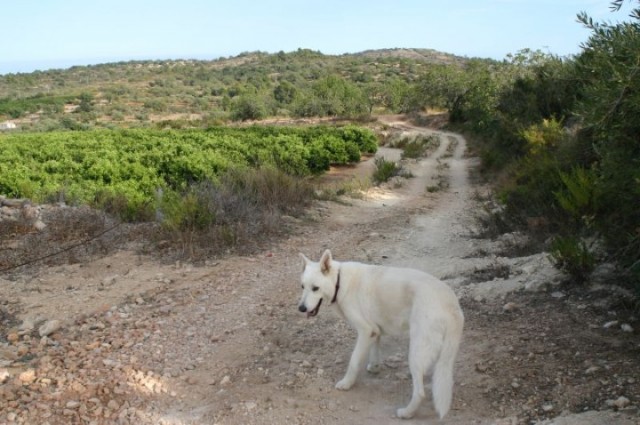 Spanje september 2012 016