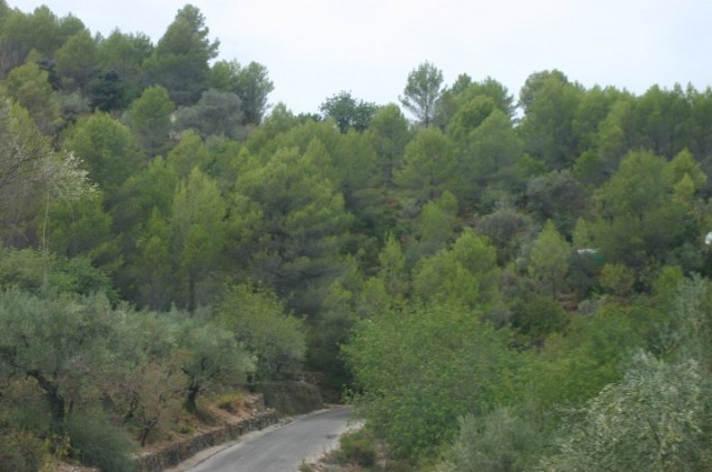 spanje deel 5 028