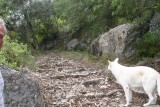 spanje deel 7