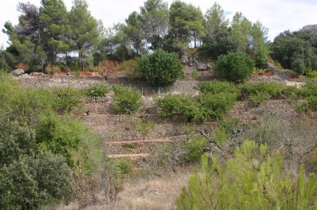 spanje deel 7