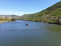 Wijngaarden Douro-vallei