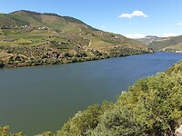 Wijngaarden Douro-vallei