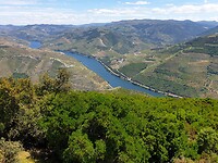 Douro-vallei