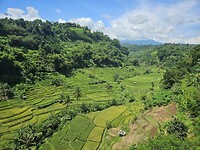 Mooie rijstvelden tijdens onze treinreis naar Bandung.