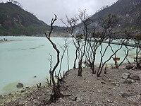 Kawah Putih