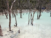 Kawah Putih