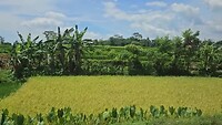 Treinreis van Jakarta naar Bandung