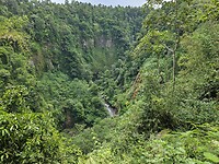 Natuurgebied bij Tumpak Sewu watervallen