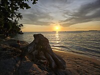 Karimunjawa Tanjung Gelam beach