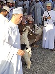Geitenmarkt Nizwa