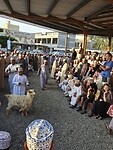 Geitenmarkt Nizwa