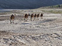 West Salalah