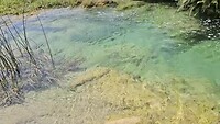 Wadi Darbat in Dhofar