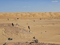 Wahiba Sands