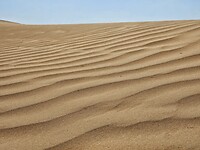 Wahiba Sands