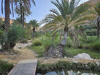 Wadi Bani Khalid