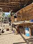 Dhow werf in Sur