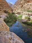 Wadi Shab