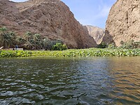 Wadi Shab