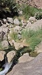 Wadi Al Shab
