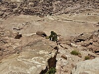 Uitzicht op de vallei in Petra