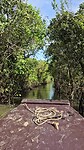 Door de mangrove