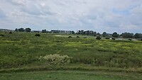 Erlecommerwaard