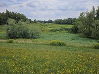 Klompenwaard