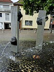 Bron van de dwazen