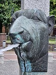 Bron van de dwazen