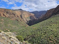 Bergen van de Karoo