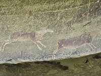Rotstekeningen