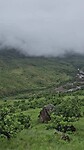 Drakensbergen