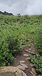Gorge trail